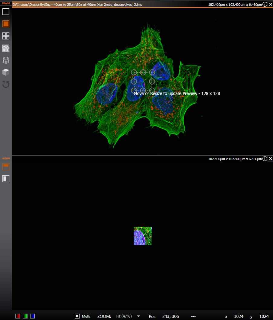 Processing_Preview2.png