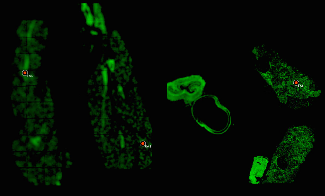 image-20250923-150556.png