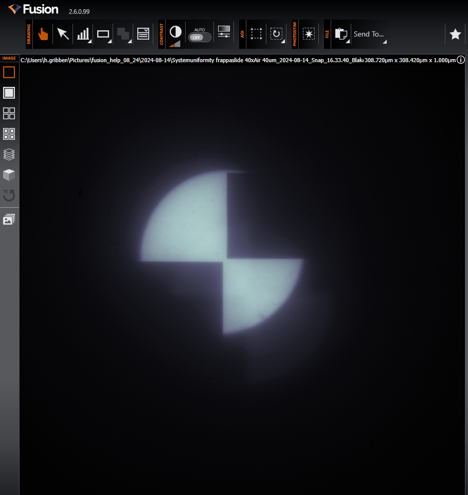 in_focus_im.png?version=1&modificationDate=1723650568233&cacheVersion=1&api=v2&width=300&height=317
