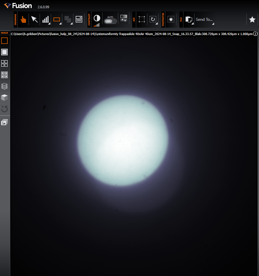 in_focus_full.png?version=1&modificationDate=1723650554357&cacheVersion=1&api=v2&width=300&height=320