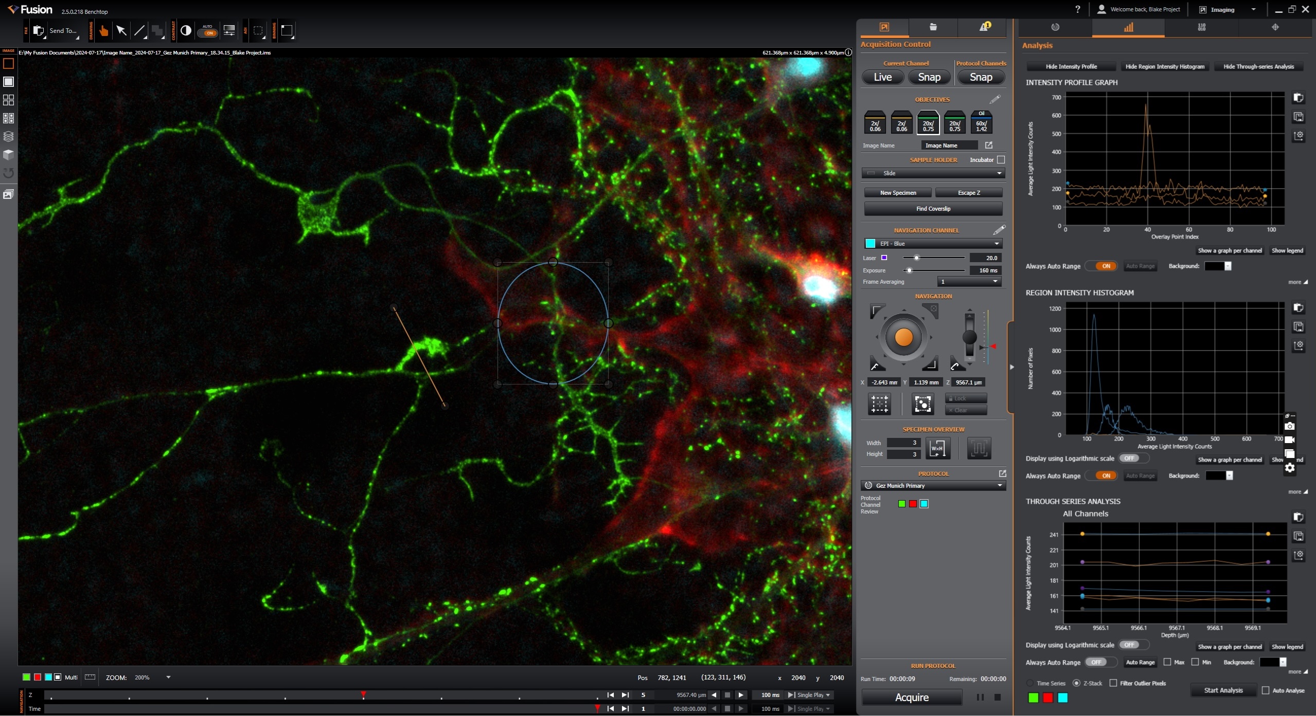 Image Analysis Tab.jpg