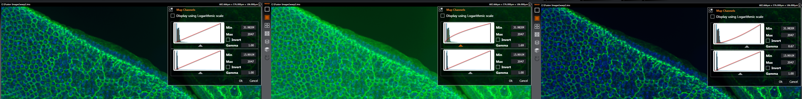 Gamma adjustment.png