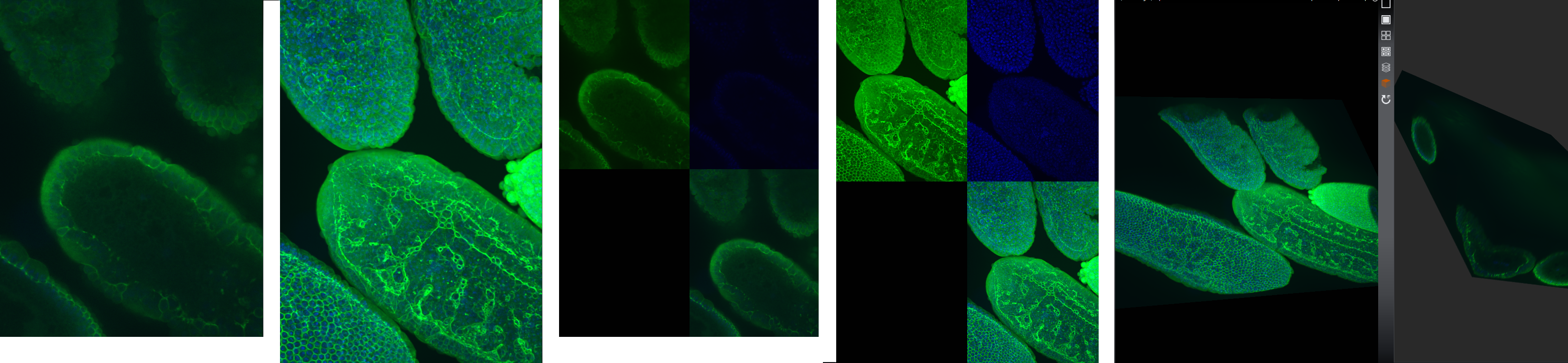 Imaging View Options.png